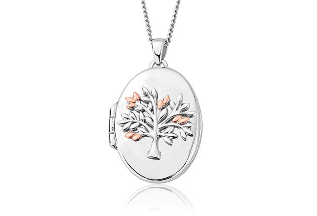 A NEW Clogau Tree of Life Oval Locket 3SNTLL with a tree on it.