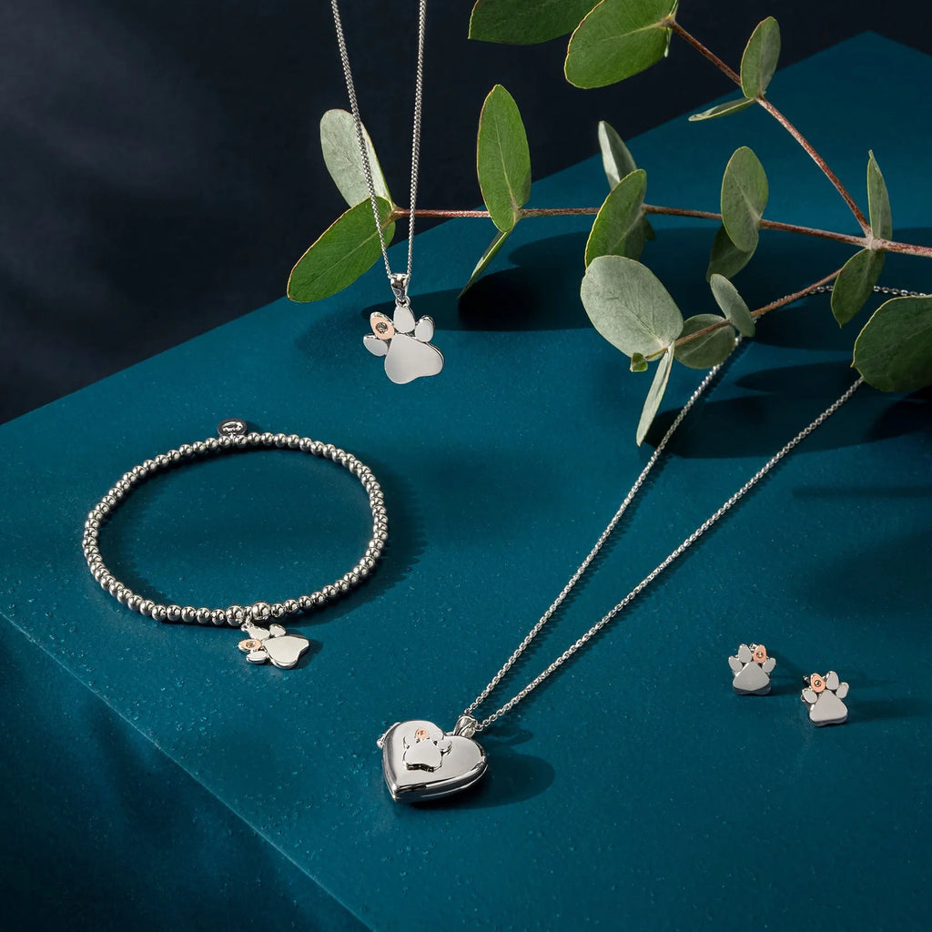 A silver necklace, Clogau Paw Print Stud Earrings 3SPWP0616, and bracelet with a paw print on it.