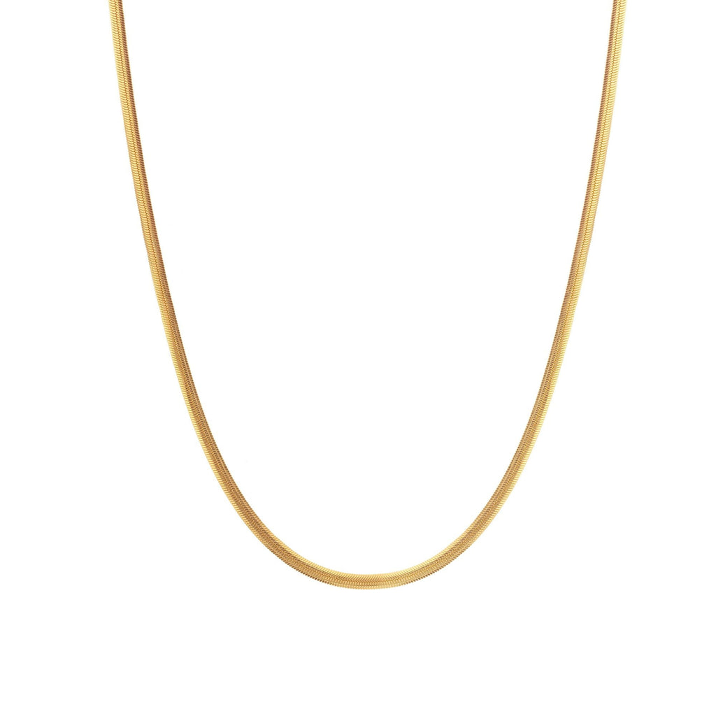 A Hot Diamonds X Jac Jossa Embrace Oval Snake Chain necklace on a white background.