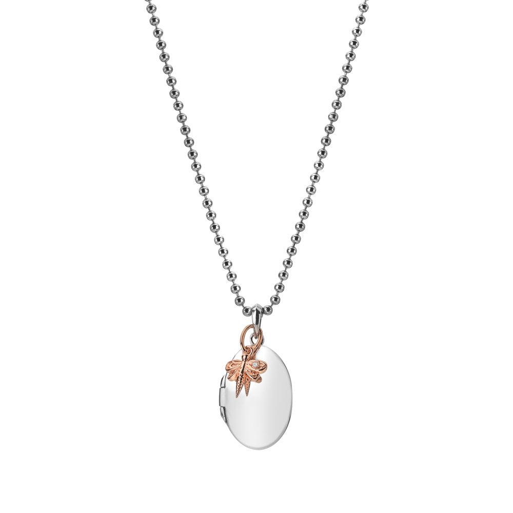 A Hot Diamonds Dragonfly Locket necklace on a chain.