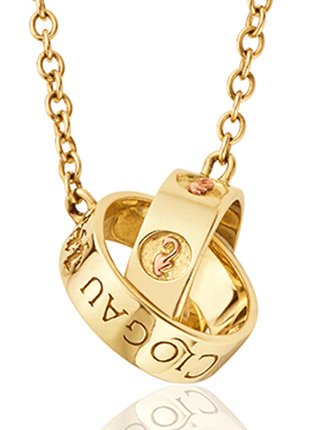 A Clogau Gold Tree of Life Insignia Links Necklace with two rings on it.