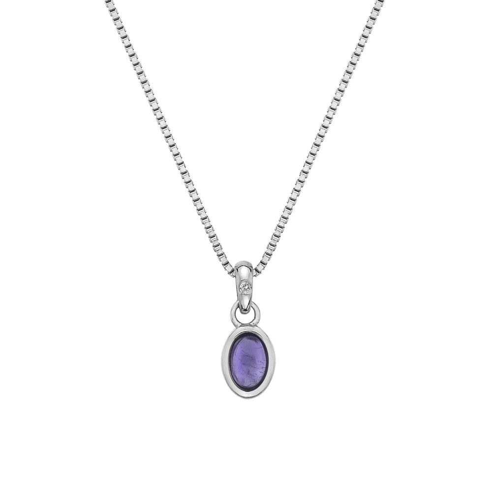 February Birthstone Necklace – Amethyst with a purple stone on a silver chain.